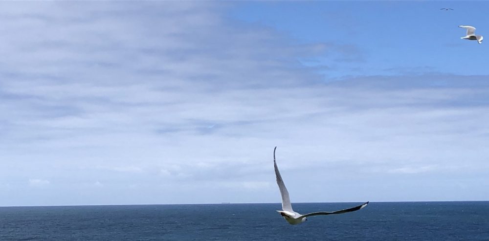 Akihiro Ogawa’s Academic Homepage