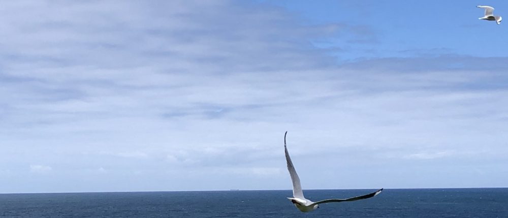 Akihiro Ogawa’s Academic Homepage